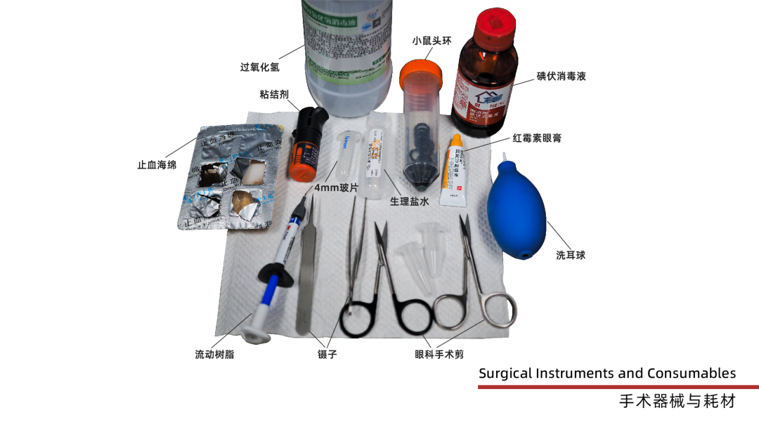 開窗手術所需器械與耗材