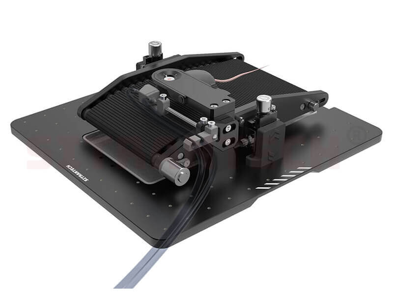 Animal treadmill (belt)