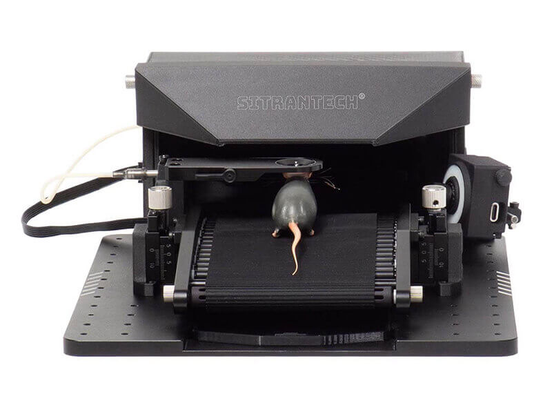 Animal treadmill with VR (belt)